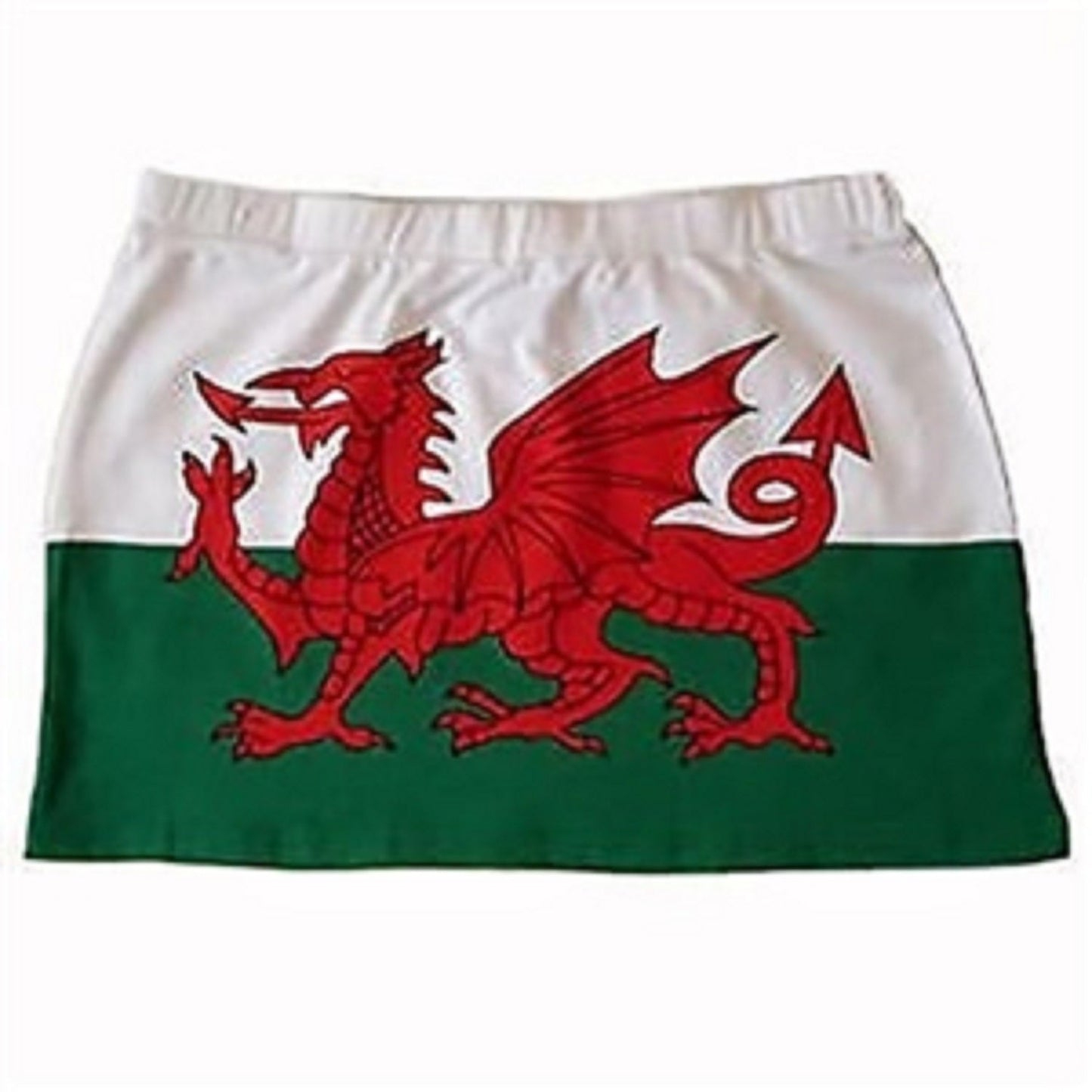 Women's Welsh Flag Beach Mini Skirt