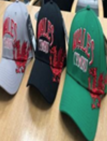 RAISED WALES CYMRU DRAGON CAP