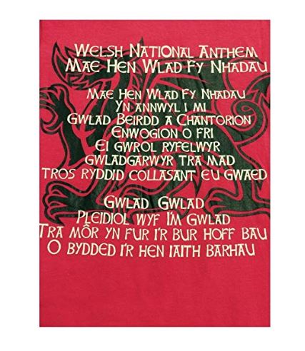 Women's Welsh National Anthem Dragon T Shirt - In Pink